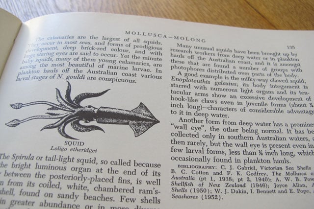 Old School Part 2 Books and Molluscs